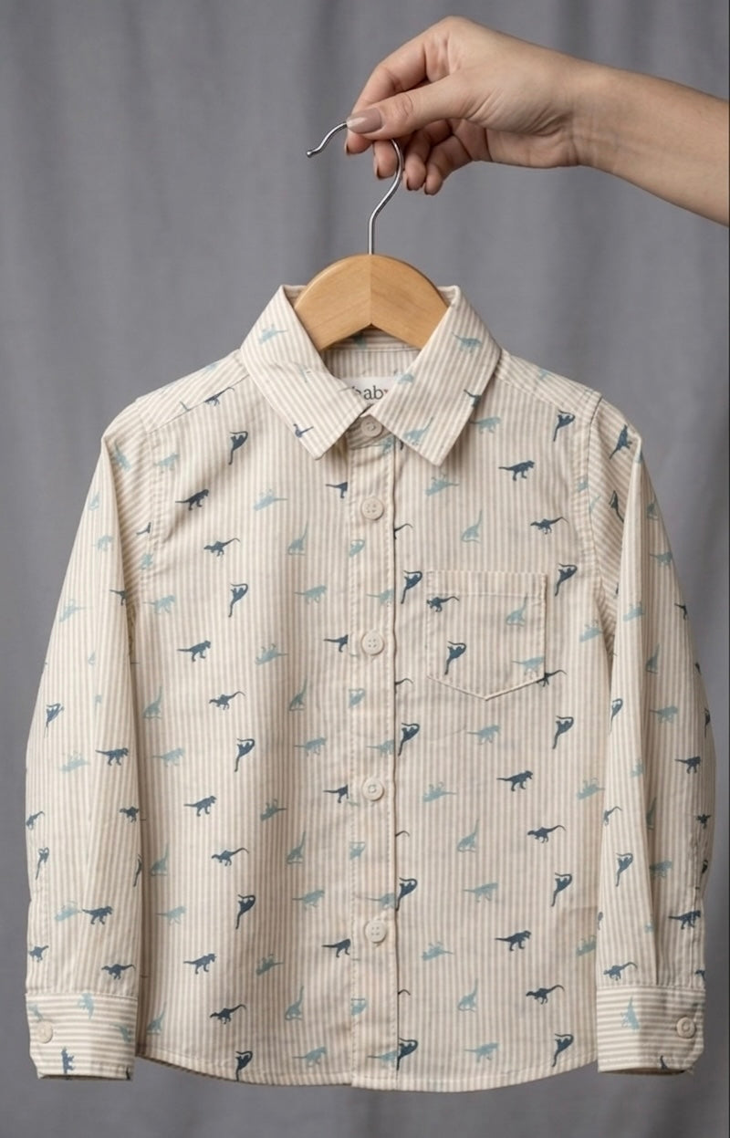 Beige Colour Long Sleeve Shirt