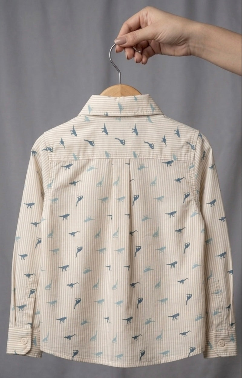 Beige Colour Long Sleeve Shirt