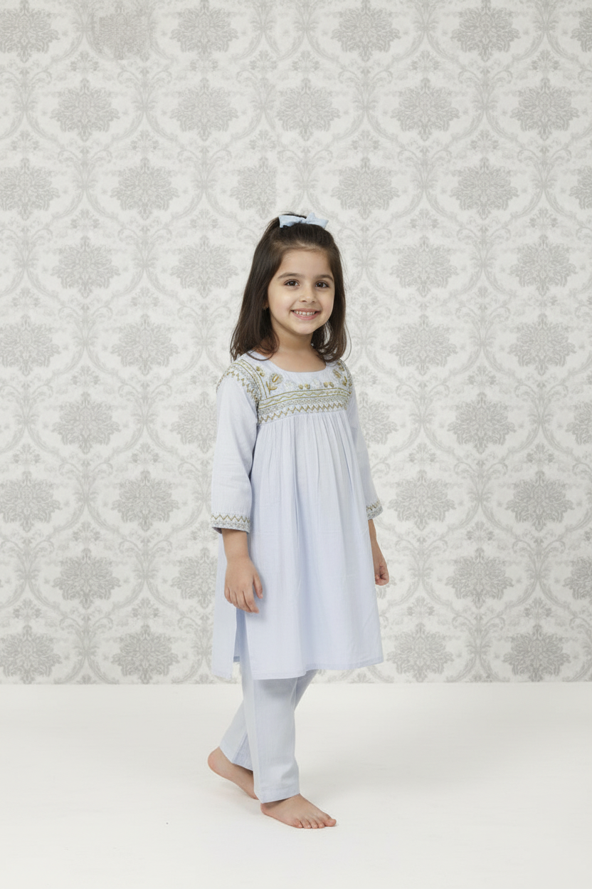 Soft Blue Embroidered Coord Set